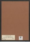 Surirella hochstetteri Ehr. (de-Toni-Nr.: Genus 53, Species 2320) Zeichnungen Sammlung Grunow Mappe 02519 (Herbarium_W_Grunow_drawings_Folder_02519)